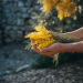 auto-flores-amarillas-bienestar-emocional-salud-mental-1790042541359.png