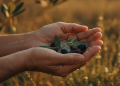auto-tormentas-granizo-comunidad-valenciana-salud-seguridad-consejos-1788314533865.png