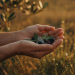 auto-tormentas-granizo-comunidad-valenciana-salud-seguridad-consejos-1788314533865.png